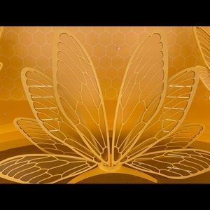 Meet your Posher, Valencia